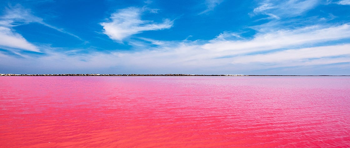 Hutt Lagoon pink lake