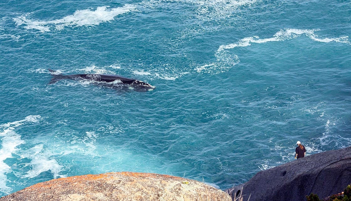 Victor Harbor, credit South Australian Tourism Commission
