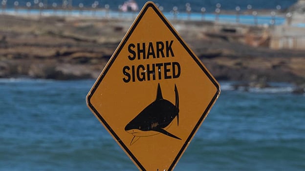 Shark safety sign