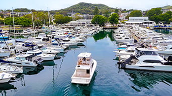 d'Albora marina's