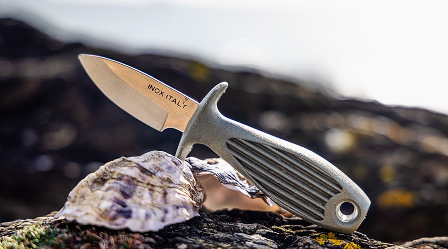 Waterhaul oyster shuck