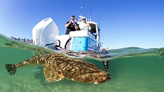 Tips for winning a flathead fishing tournament