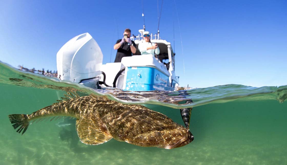 Tips for winning a fishing tournament fishing for flathead