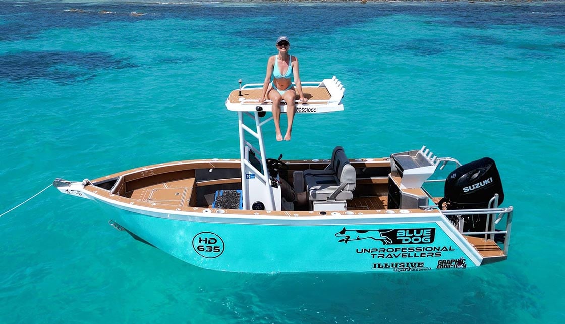 Blue dog boats